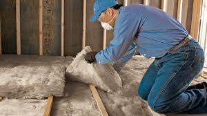 Best Basement Insulation  in Mount Olive, NC